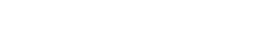 Logo Seelevel